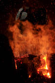 tkf001_553178