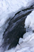 tkf001_553409