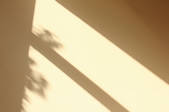 tkf001_553722