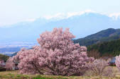 tkf001_553809