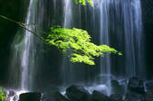 tkf001_554001