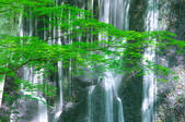 tkf001_554064