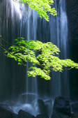 tkf001_554453