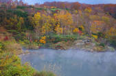 tkf001_554603
