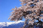 tkf001_554885