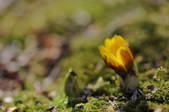 tkf001_555179
