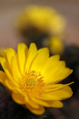 tkf001_555591
