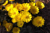 tkf001_555676