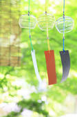 tkf001_556676