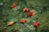 tkf001_557079