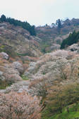 tkf001_560404