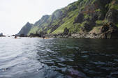 tkf001_560552