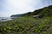 tkf001_560557