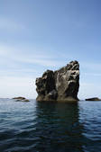 tkf001_560561