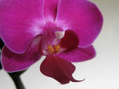tkf001_646626