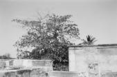 tkf001_651855