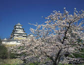 tkf003_106275