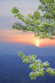 tkf003_110466