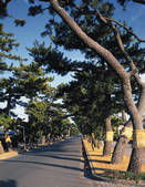 tkf003_118100