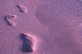 tkf003_118836