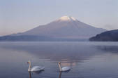 tkf003_120393