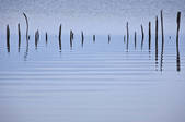 tkf003_120572
