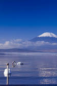 tkf003_123955