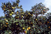 tkf003_126830