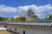 tkf003_127494