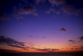 tkf003_130475