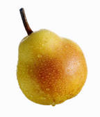 tkf001_684876