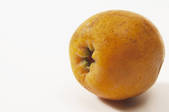 tkf001_689916
