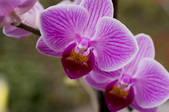tkf001_724087