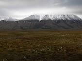 tkf001_886302
