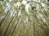 tkf001_900736