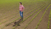 tkf001_907823