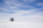 tkf001_911480