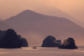 tkf003_144167