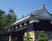 tkf003_152617