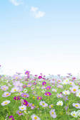 tkf003_154952