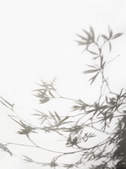 tkf003_222407