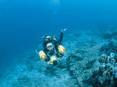 tkf003_255103