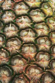 tkf003_322246