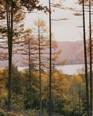 tkf003_338031