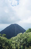 tkf003_341775
