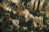 tkf003_347978