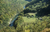 tkf003_348270