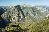 tkf003_348279