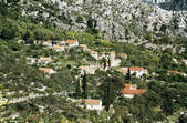tkf003_348304