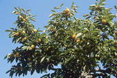 tkf003_351496